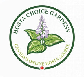 A circular logo for Hosta Choice Gardens featuring a central illustration of a variegated hosta plant with green and cream leaves and a light purple flower spike. The circular emblem has a dark green border with the text 'HOSTA CHOICE GARDENS' at the top and 'CANADA'S ONLINE HOSTA SOURCE' at the bottom, with a small red maple leaf at the bottom center.