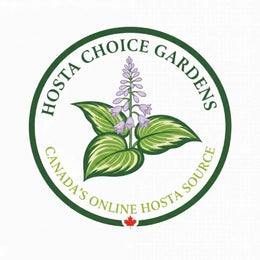 Hosta Choice Gardens 