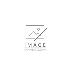 Placeholder image with 'Image Coming Soon' text indicating that no image of Hosta 'Round About Midnight' is currently available.
