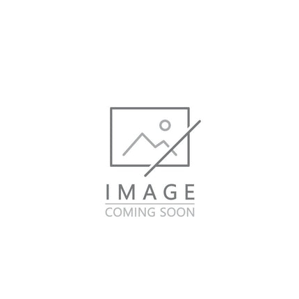 Placeholder image with a text 'Image Coming Soon" indicating the a picture of H. 'American Pharoah'  is not available.
