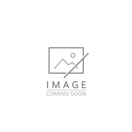 Placeholder image with 'Image Coming Soon' text indicating that no image of Hosta 'Round About Midnight' is currently available.
